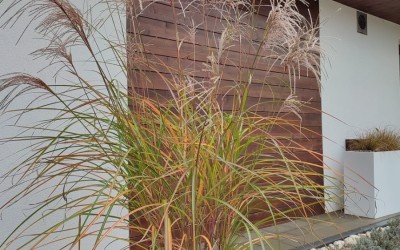 Projektowanie ogrodów Giżycko