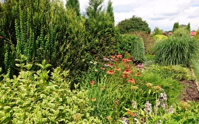 Zakładanie ogrodów Mazury