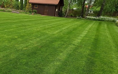 Zakładanie trawników z siewu