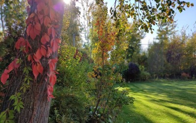 Ogród rekreacyjny Mazury