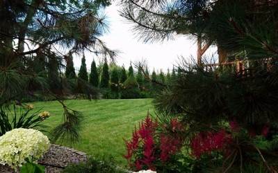 Projektowanie zieleni Mazury