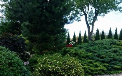 Zakładanie i budowa ogrodów Ryn