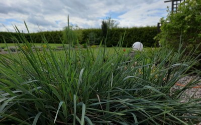 Architektura krajobrazu Węgorzewo