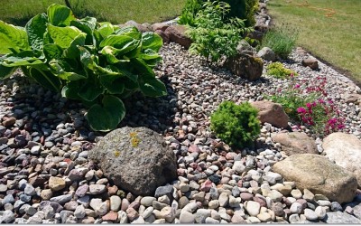 Aranżacje roślinne