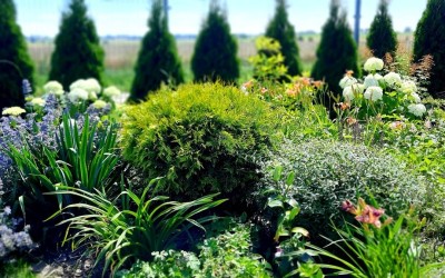 Zakładanie zieleni Giżycko