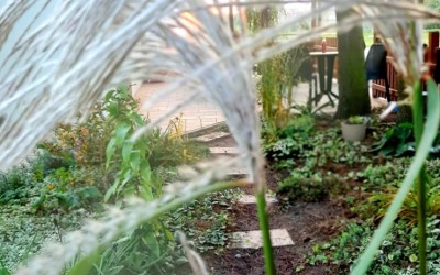 Aranżacje zieleni Mazury