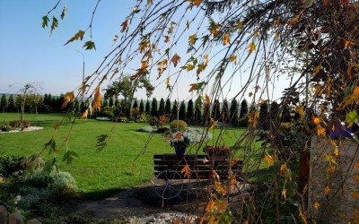 Projekty zagospodarowania terenu Mazury