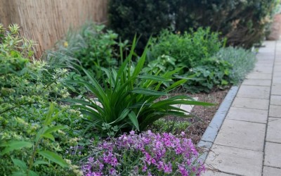 Projektowanie nawierzchni Giżycko