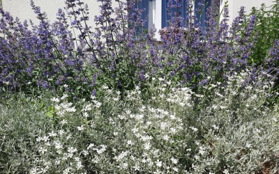 Pielęgnacja ogrodów Giżycko