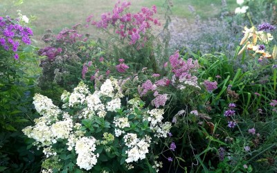 Budowa ogrodów Giżycko