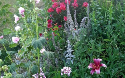 Sztuka ogrodowa Giżycko