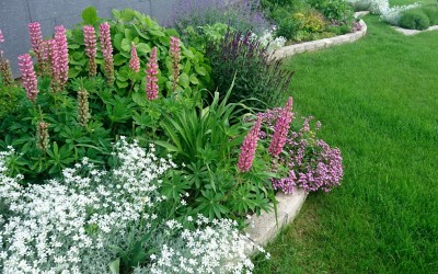 Ogrody kwiatowe Giżycko