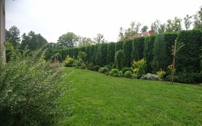 Pielęgnacja zieleni Mazury