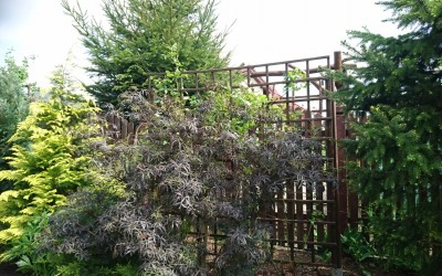 Mała architektura w ogrodzie