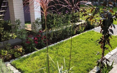 Zakładanie zieleni Mazury