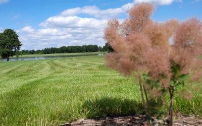 ogród przy jeziorze Giżycko
