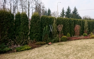 Pielęgnacja zieleni Giżycko