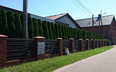 Pielęgnacja zieleni Giżycko