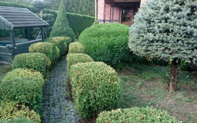 Formowanie roślin Mazury