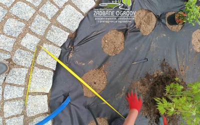 Projektowanie ogrodów Mazury