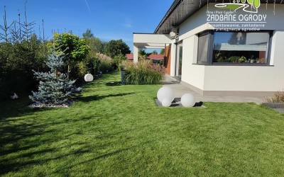 zakładanie trawników z rolki Mazury