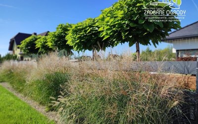 projektowanie ogrodów Mazury