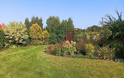 zakładanie zieleni Mazury