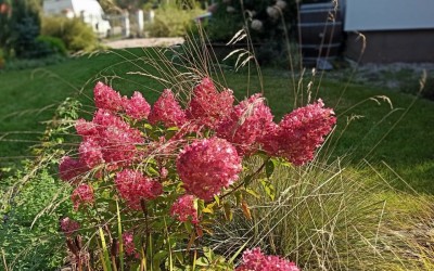 ogród romantyczny Węgorzewo