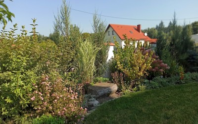 zakładanie ogrodów Mazury