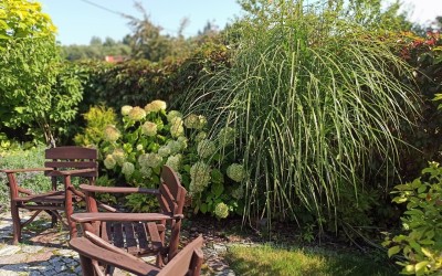 projekty ogrodów Mazury