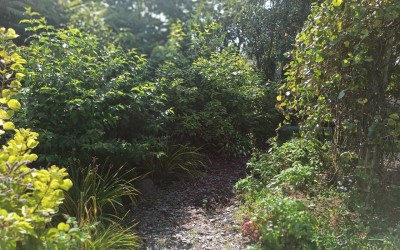 realizacje projektów Mazury