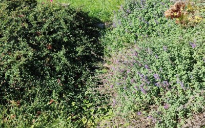 Ogrody tematyczne Mazury