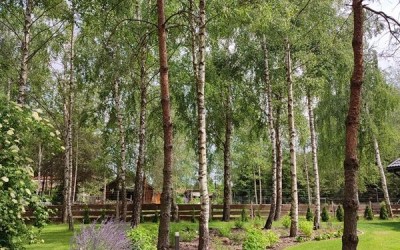 architektura krajobrazu Giżycko