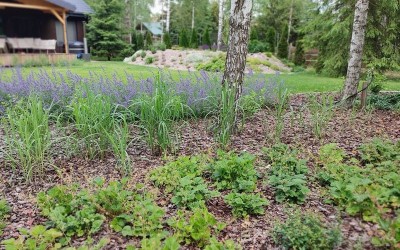 realizacje ogrodów Giżycko