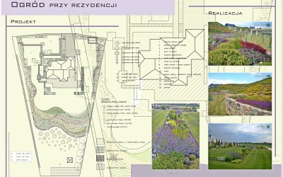 Ogród kwitnący w stylu nowoczesnym