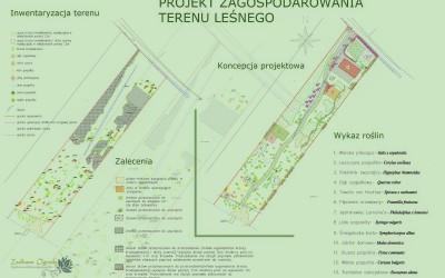 Inwentaryzacja. projekt techniczny