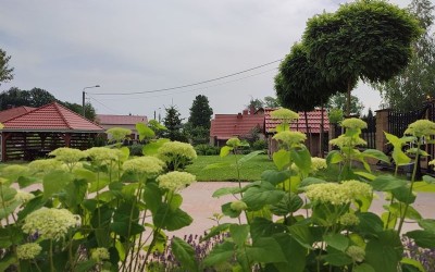 zakładanie ogrodów Mazury