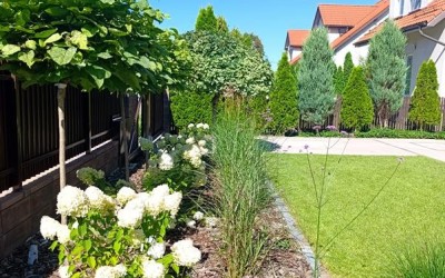 projekty zagospodarowania terenu