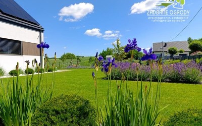 projektowanie ogrodów Giżycko