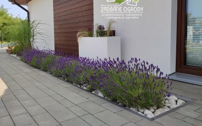zakładanie ogrodów Giżycko