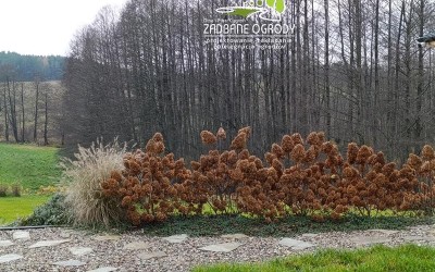 Ogrody Mazury