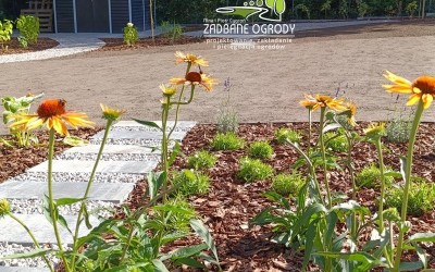 Projekty zagospodarowania terenu Mazury