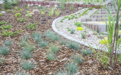 Aranżacja zieleni Mazury